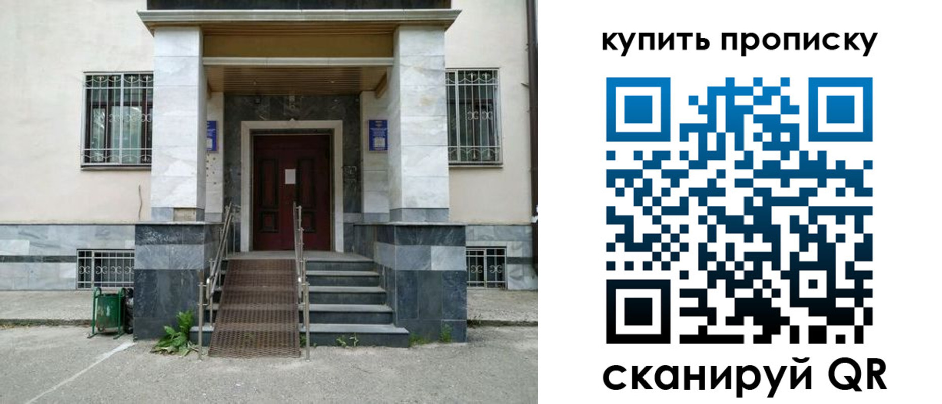 прописка поиск в Светлом